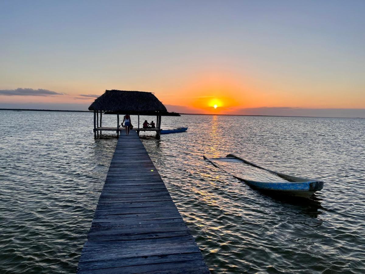 Dos Mares Barefoot Hotel 埃尔库约 外观 照片